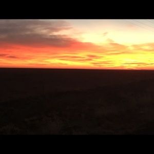 Meet your Posher, Carmen